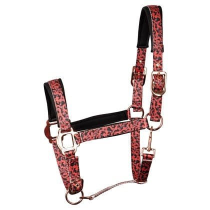 Harry's Horse Halster Just Ride Leopard, Coral