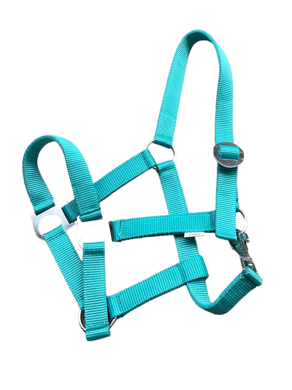 QHP Halster, Turquoise