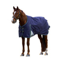 Weatherbeeta Comfitec Plus Dynamic Turnout Standard Neck 100g, Navy/Forest Green