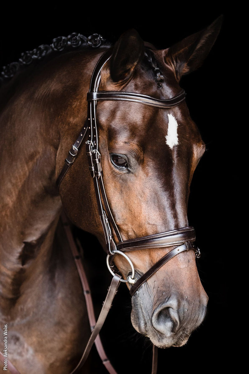 Schockemohle Hoofdstel SP Monza, Donkerbruin