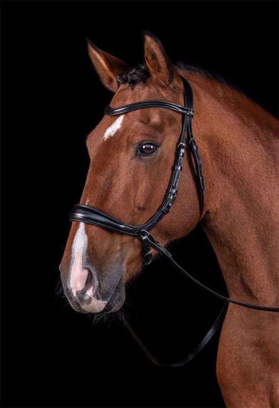 Schockemöhle Malaga Bridle - Dover Saddlery Schockemöhle Malaga Bridle - Dover Saddlery
