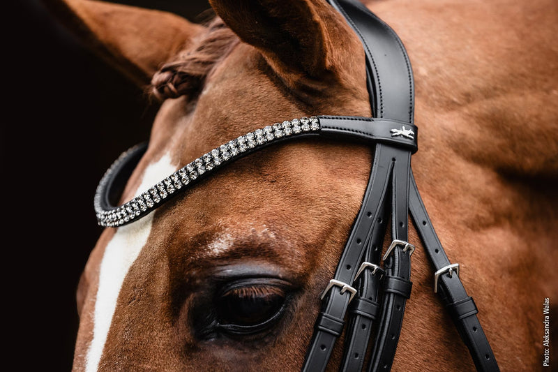 Schockemohle Montecelli Bridle, Black