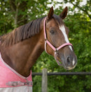 QHP Halsterset Turnout Collection, Flamingo