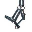 QHP Veulenhalster Jaarling, Ocean Breeze