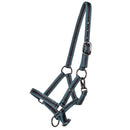 QHP Veulenhalster Jaarling, Ocean Breeze