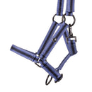 QHP Veulenhalster Jaarling, Purple Sunset