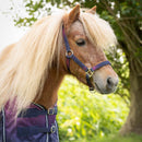 QHP Halsterset Jaily Ombre, Roze en Paars