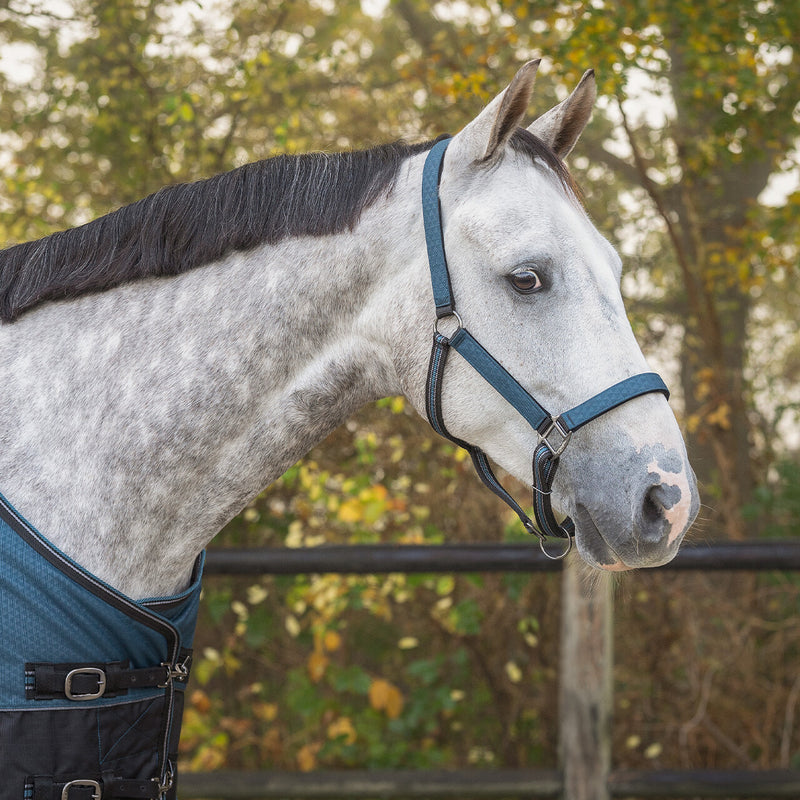 QHP Halsterset Turnout Collection, Mystic Blue