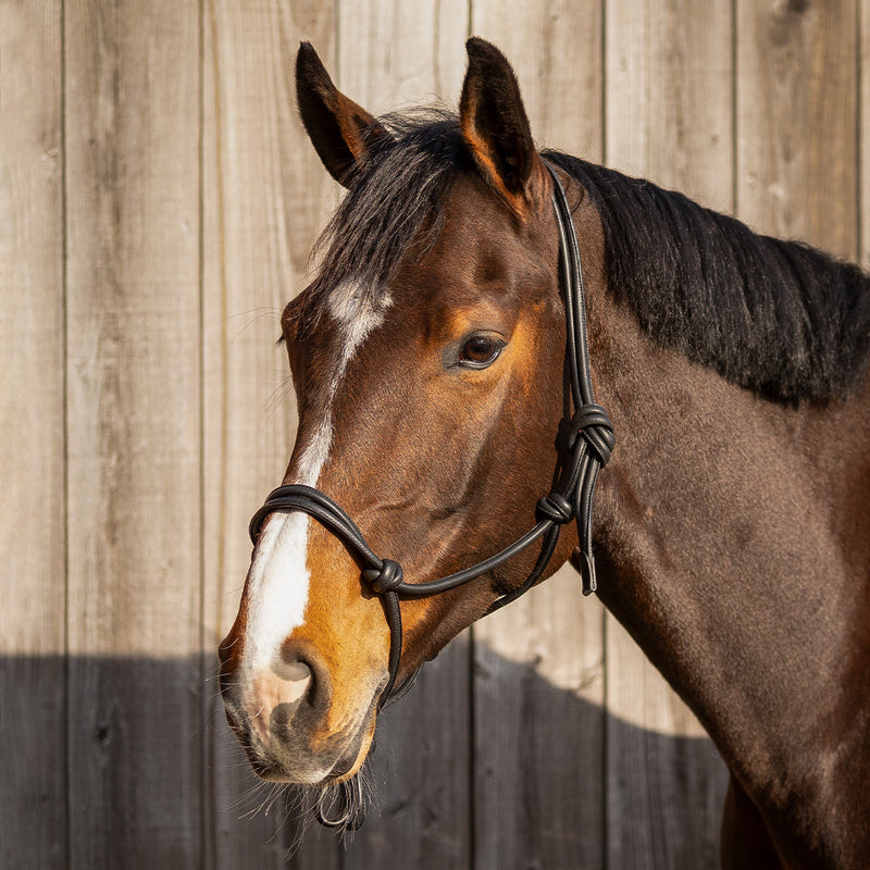 QHP Touwhalster Leer Liberta, Zwart