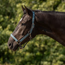 QHP Halsterset Turnout Collection, Palm Green