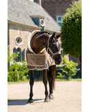 HB Showtime Special Peach Blanket, Taupe