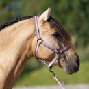 Imperial Riding Halster Economic, Ballerina