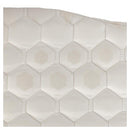 BR Zamora Dressurschabracke, Weiß