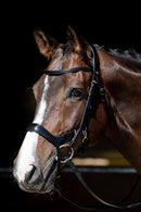 Harry's Horse Anatomic Release Bridle, Black