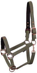 Harry's Horse Halter Bit, Green
