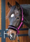 Harry's Horse Halster Lyrics Quotes "Shine bright like a diamond", fuchsia