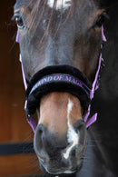 Harry's Horse Halster Lyrics Quotes "It's a kind of magic", lilac