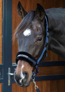 Harry's Horse Halster Lyrics Quotes "Born 2 ride", navy