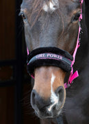 Harry's Horse Halster Lyrics Quotes "Girl power", roze