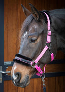 Harry's Horse Halster Lyrics Quotes "Girl power", roze