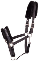 Harry's Horse Halster Lyrics Quotes "Partner in crime", zwart