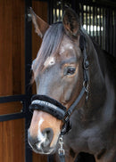 Harry's Horse Halster Lyrics Quotes "Partner in crime", zwart