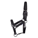 Harry's Horse Fohlenhalfter gepolstert, Schwarz