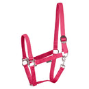 Harry's Horse Halfter mit Schiebeverschluss und Karabinerhaken, fuchsia