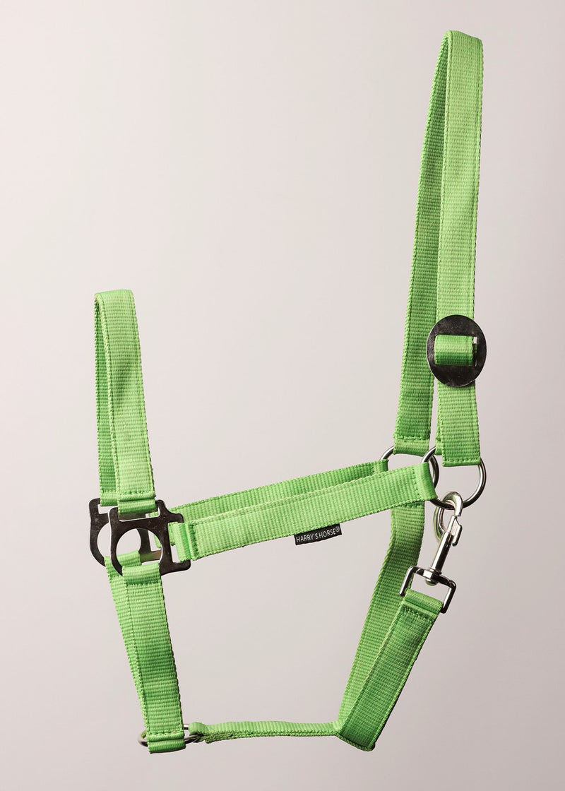 Harry's Horse Halster met schuifsluiting en muskaton, lime