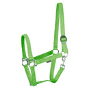 Harry's Horse Halfter mit Schiebeverschluss und Karabinerhaken, limette