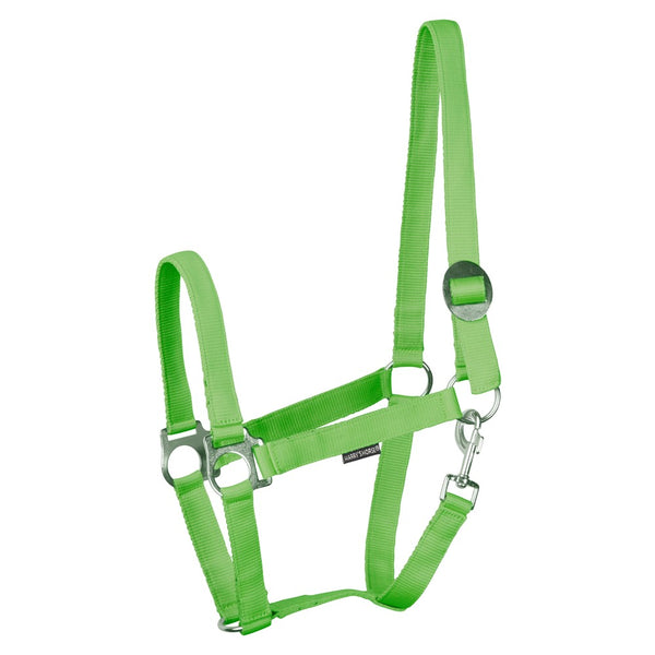 Harry's Horse Halster met schuifsluiting en muskaton, lime