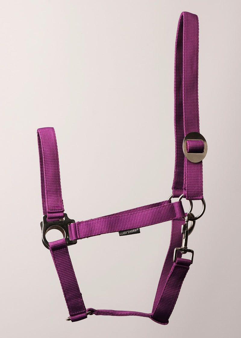 Harry's Horse Halster met schuifsluiting en muskaton, paars