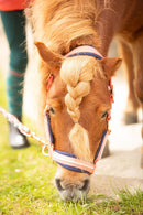 Harry's Horse Halsterset Valli, Porcelain Rose