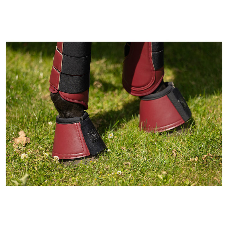 BR CLX Springschoenen, Cabernet