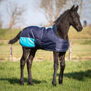 Harry's Horse Foal Blanket, Back Length 65 cm, Navy
