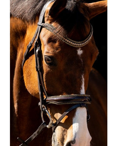 HB Showtime Hoofdstel Jump Rocky Glitter, Bruin/Goud