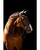 HB Showtime Bridle Jump Rocky Glitter, Brown/Gold