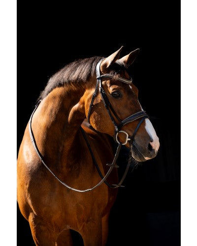 HB Showtime Hoofdstel Jump Rocky Glitter, Bruin/Goud