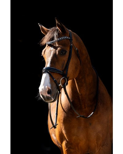 HB Showtime Hoofdstel Jump Rocky Glitter, Zwart/Zwart