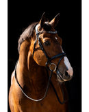 HB Showtime Trense Jump Patent, Schwarz