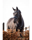 HB Showtime Headstall It is So Special, Black/Navy Glitter