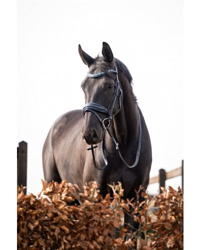 HB Showtime Hoofdstel It is So Special, Zwart/Navy Glitter