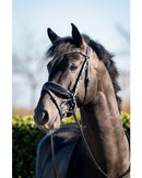 HB Headstall Evalira, Black/Pink