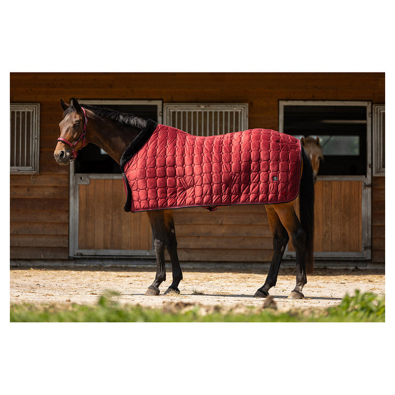 BR CLX Showdeken, Cabernet