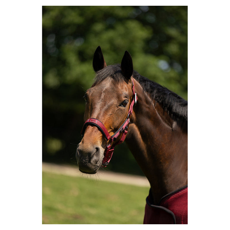 BR CLX Halster, Cabernet