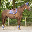 QHP Oornetje Nyomi, Purple Sunset