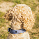 QHP Hondenhalsband Collection, Misty Blue