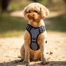 QHP Hondentuigje Collection, Misty Blue