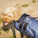 QHP Hondenriem Collection 2m, Misty Blue