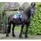 HB Zadeldek Friesch, Blauw